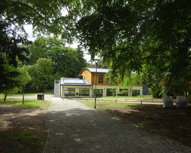 Modern school building surrounded by woodland.