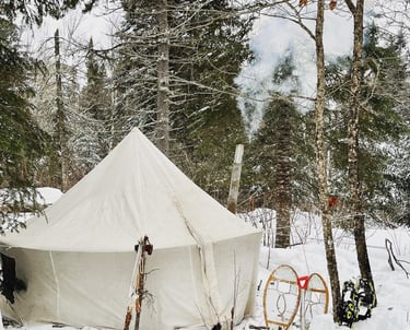 Formations de vie en forêt