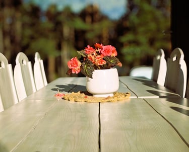 vaso di fiori rossi su tavolo in legno in giardino