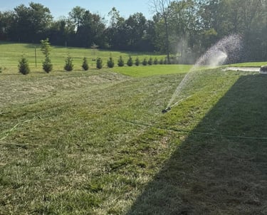 Landscaping and final grading for residential yard