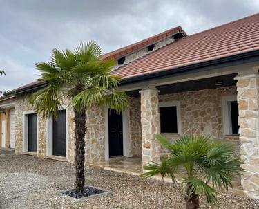 a palm tree in front of a building