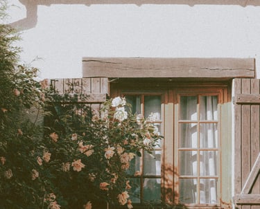 Un accompagnement complet et personnalisé