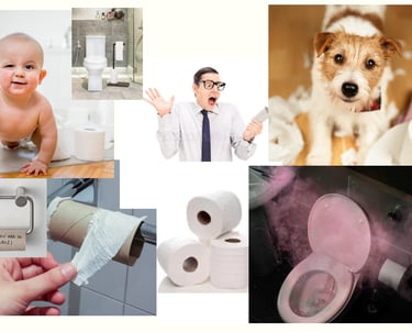 a collage of the problems created by exposed or limited toilet paper