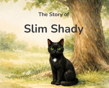 Front cover of The Story of Slim Shady, a children’s illustrated book published by Albanika Press.