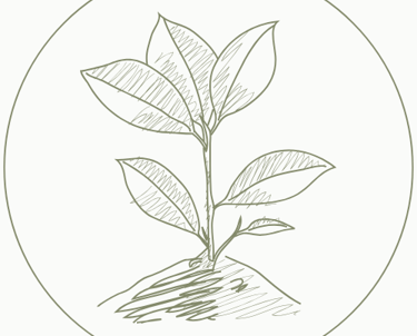 Racine solide symbolisant l'ancrage et le soutien, appuit sur l'environnement