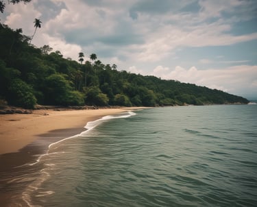A vibrant split-screen image showing a lush landscaped garden on one side and a sleek taxi from Droptt navigating city streets on the other.