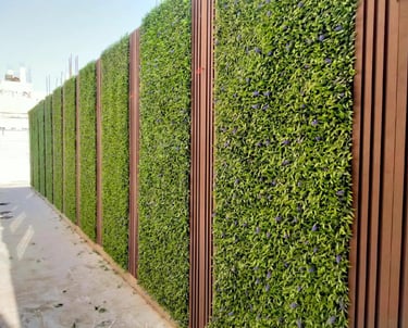 تركيب مظلات وسواتر في الأحساء