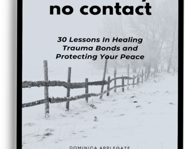 Ebook cover for How to Stay No Contact by Dominica Applegate, featuring a snowy fence landscape.
