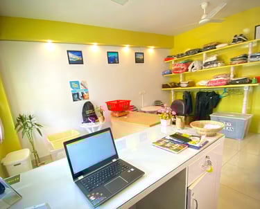 Pristine Laundry and Dry Clean