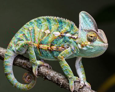 a man riding a skateboard down a street next to tall buildings