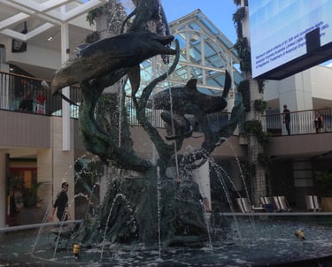 brookevale Warringah Mall