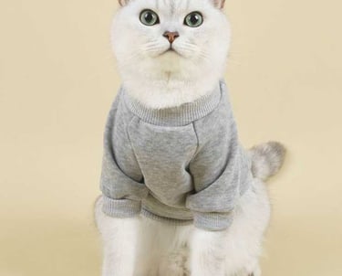 Gato blanco de ojos azules de frente vistiendo un suéter gris .