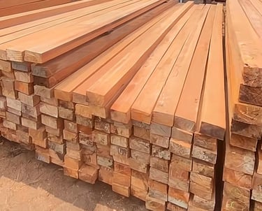 kayu_kamper