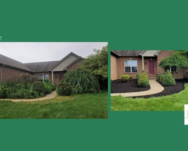 a house with a green lawn and a house with a black roof