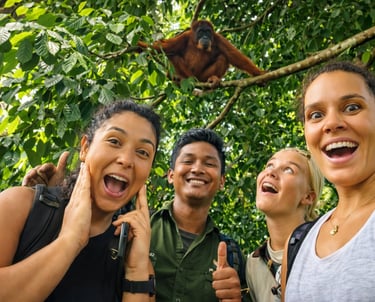 Trekking orangutan tours sumatra