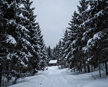 A wide-angle landscape shot of a snowy North American forest with a very minimalist cabin visible in the distance. Cool tones, moody lighting.