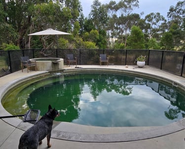 Inground swimming pool with spa and water feature