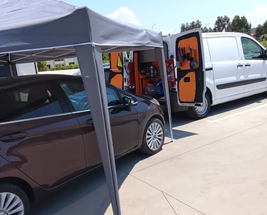 detailing 100% domicilio