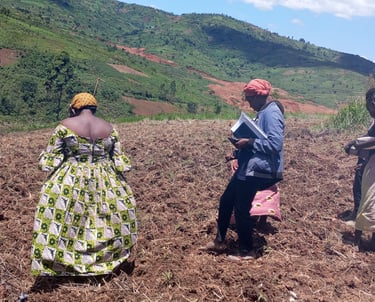Des mains déposant délicatement des graines de haricot dans les sillons