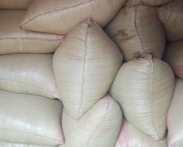 Des sacs bien remplis de haricots, prêts pour la conservation ou le marché