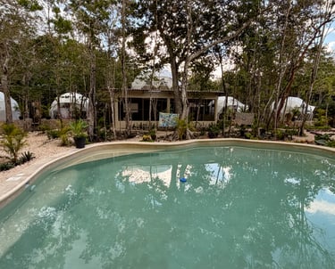 Luxury glamping domes in Venamarte, surrounded by lush Mayan jungle trees and a circular outdoor poo