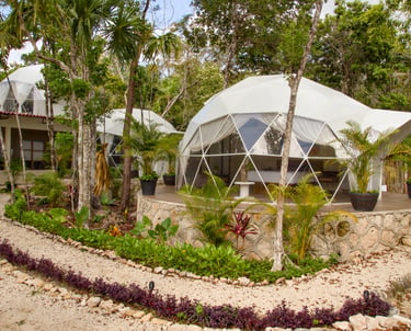 Geodesic domes in Venamarte, a glamping complex in the Mayan jungle, with stone paths and lush plant