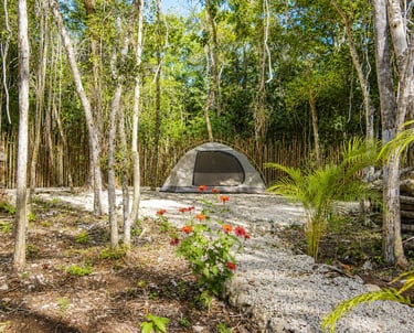 A tent in Venamarte, set up in the isolated camp in the Mayan jungle, with a gravel path and firewoo