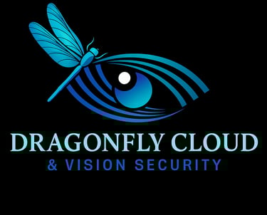 CCTV monitoring, redundant storage, cloud storage, camera installation