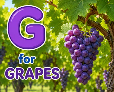 A bunch of purple grapes on a vine with a large letter G for educational alphabet learning.