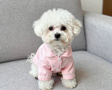 Perrito blanco con pijama rosa