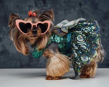Un pequeño perro Yorkshire Terrier con gafas rosas en forma de corazón y un vestido de lentejuelas