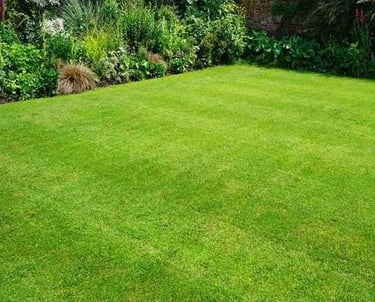 A newly turfed lawn in Plovdiv with a flowerbed bordering it, completed by Hedgie Wilder.