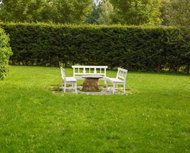 A garden lawn with a table and chairs set in the center, backed by tall, dense bushes forming a natu