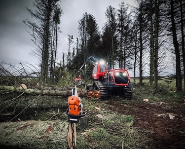 forestry Ellon