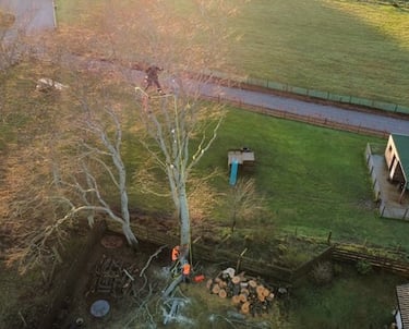 tree surgery Turriff