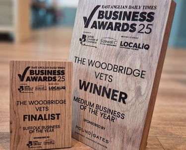EADT Business Awards - The Woodbridge Vets - Reason Marketing Marketing Consultant