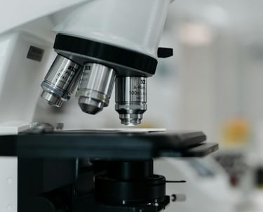 Marketing Consultancy - Reason Marketing Marketing Consultant