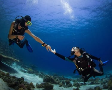 red-sea-dive-boat-trips-marsa-alam