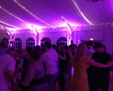 Chicagoland Wedding DJ