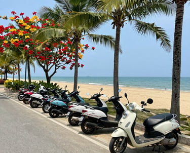 A colorful lineup of cars parked near a sunny beach with coconut trees and blooming tropical flowers under a clear blue sky.