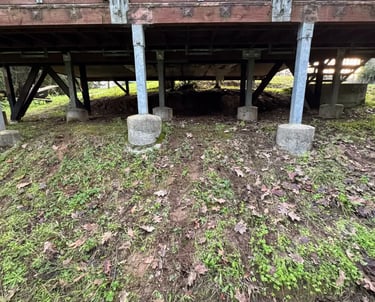 after wood pile clean up under property