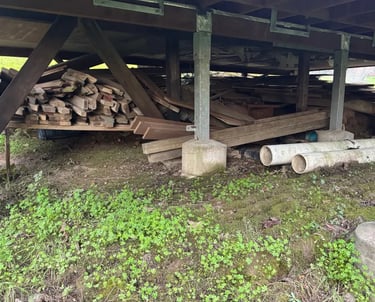 proper clean out of large wood pile under a house