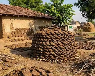 indian cow dung cakes