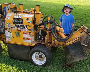 Stump No More Stump Grinding compact spaces