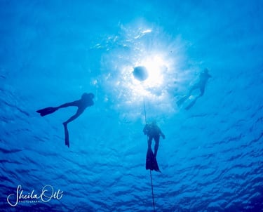 Freediving on Curacao