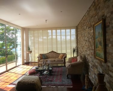 persiana panel japones