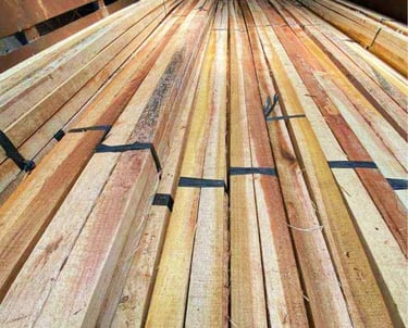 kayu albasia-sengon