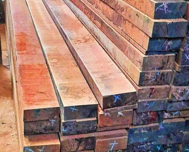 kayu balok kamper