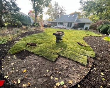 Fresh green sod installation in a residential backyard with a wheelbarrow on new grass.