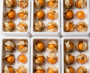 Workers carefully selecting and packaging fruits in a bright facility.